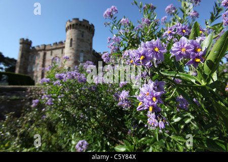 Cholmondeley Schlossgärten. Malerische Sommer Blick auf Cholmondeley Burg. Stockfoto