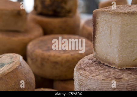 Schafskäse aus Korsika Ajaccio Stockfoto