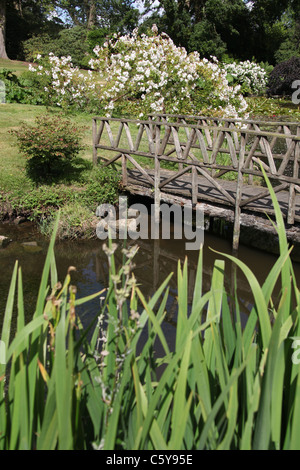 Cholmondeley Schlossgärten. Malerische Sommer Blick auf Cholmondeley Castle Tempelgärten. Stockfoto