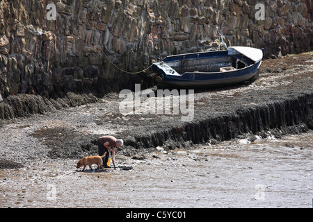 Mann mit Hund auf der Suche nach Würmern Dunbar alten Hafen East Lothian Scotland Stockfoto