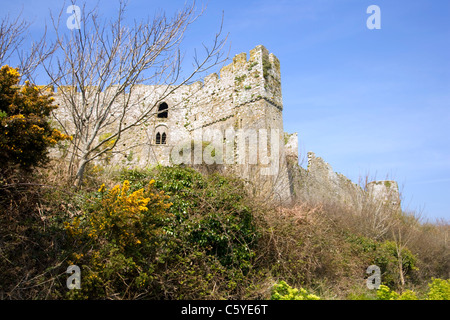 Manorbier Castle in der Frühlingssonne, Manorbier, Pembrokeshire, Wales, Großbritannien Stockfoto