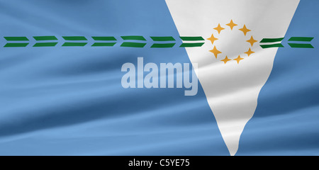 Hohe Auflösung-Flagge der argentinischen Provinz Formosa Stockfoto