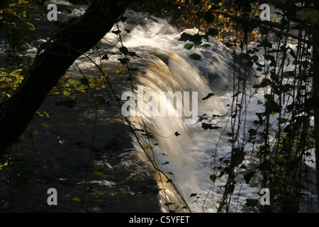 Einen kleinen Damm am Fluss. Fluss La Varenne (Orne, Normandie, Frankreich). Stockfoto