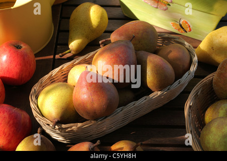 Birne (Sorte: Beurre Hardy) in einen kleinen Korb Stockfoto