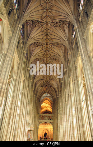 Das Kirchenschiff Decke, die Kathedrale von Canterbury, Canterbury, Stadt von Canterbury, Kent, England, Vereinigtes Königreich Stockfoto