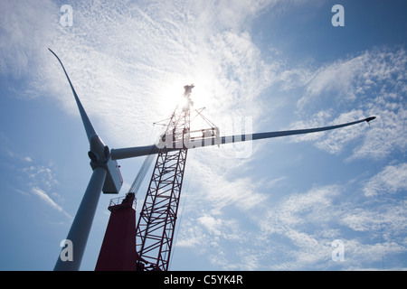 Das Aufbocken Lastkahn, Kraken, Einbau einer Turbinenschaufel, eine Windkraftanlage auf Walney offshore Wind Farm, Cumbria, UK. Stockfoto