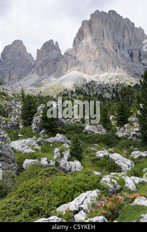 Langkofel, einem massiv der Zinnen in den Dolomiten in der Nähe von Sellajoch Stockfoto
