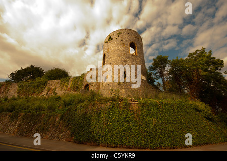 Mittelalterliche Stadtmauern Black Tower Carrow Hill Norwich Stockfoto