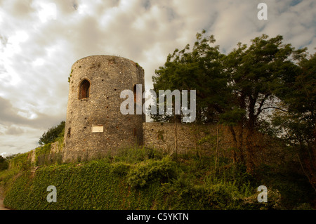 Mittelalterliche Stadtmauern Black Tower Carrow Hill Norwich Stockfoto