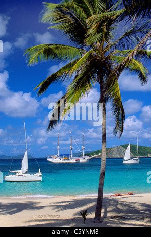 Die schönen Buchten von Peter Island in den British Virgin Islands (BVIs) locken Bootsfahrer Segeln in der Karibik zu verbringen einige Zeit an Land. Stockfoto