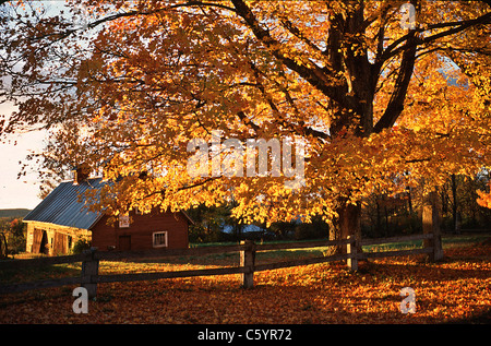 Herbst-Country-Szene in Connecticut, USA Stockfoto
