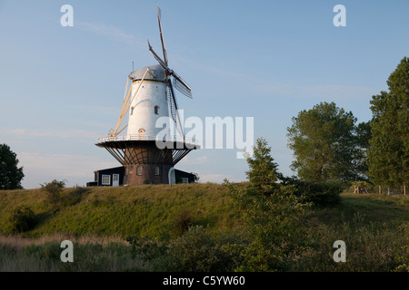 Veere Windmühle in den Niederlanden. Stockfoto