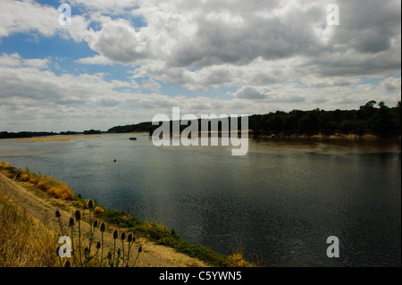 Loire-Tal, Saint-Clément-des-Levées Stockfoto