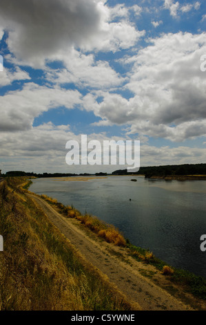 Loire-Tal, Saint-Clément-des-Levées Stockfoto