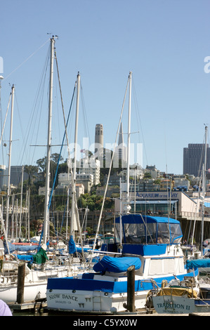 Coit Tower in San Francisco gesehen vom Hafen Stockfoto