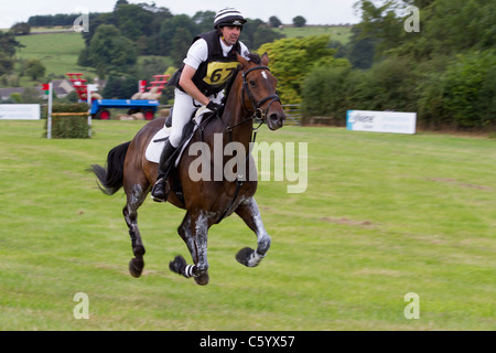 Ein Pferd in der Aufhängung der Galopp auf die Loipe auf der britischen Festival Eventing, Gatcombe Park Stockfoto