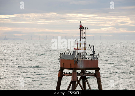 Kormorane auf einen Blick auf den Offshore-Windpark Walney Fahrwassermarkierung. Stockfoto