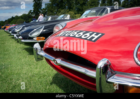 E-Type Jaguar Cars Stockfoto