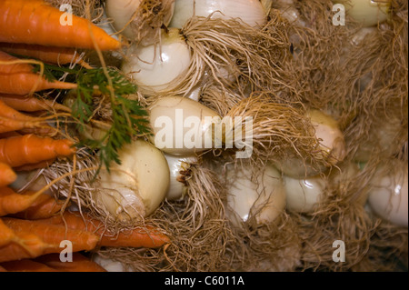 Frühlingszwiebeln und Karotten GEMÜSE ANGEORDNET AUF EINEM MARKT LA BOQUERIA IN BARCELONA SPAN Stockfoto