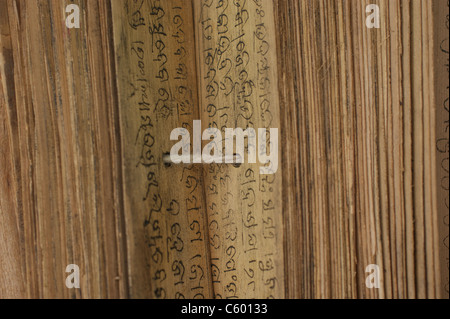 Antike PALM LEAF RELIGIÖSEN IM NAHEN UND MITTLEREN OSTEN PERSISCHEN SCHRIFT Stockfoto