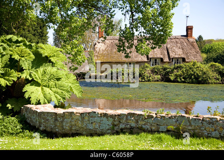 Dorfteich und Reethaus in East Quantoxhead Somerset England Stockfoto