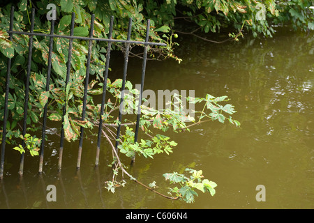 London Parliament Hill Hampstead Heath Highgate Männer Badeteich detail Metall Zaun oder Geländer & Bäume & Wasser Stockfoto
