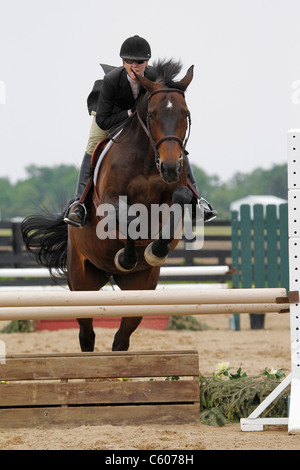 Ein Pferd und Reiter einen Zaun springen, während ein Reitturnier. Stockfoto