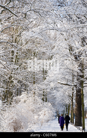 Ein Winterspaziergang im verschneiten Tiergarten, Berlin, Deutschland Stockfoto