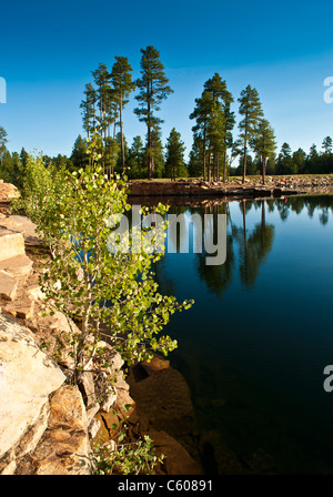 Der wunderschöne Willow Springs See auf der Mogollon Hochebene ist eines der landschaftlich schönsten und besten Spots in Arizona Forellen zu fischen. Stockfoto