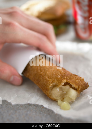 Fast-Food-Apfelkuchen Stockfoto