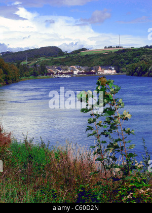 Die Mosel zwischen Mertert und Wasserbillig, Luxemburg, Europa Stockfoto