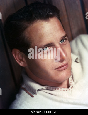 PAUL NEWMAN (1925-2008) U.S. film Schauspieler und Regisseur ca. 1960 Stockfoto