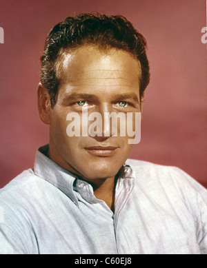 PAUL NEWMAN (1925-2008) U.S. film, Schauspieler und Regisseur Stockfoto