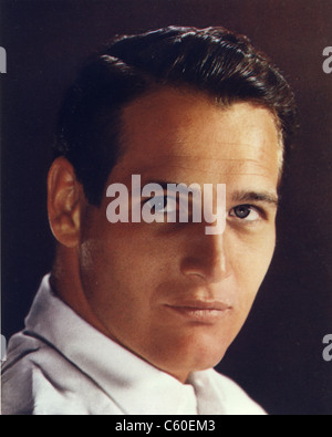 PAUL NEWMAN (1925-2008) U.S. film Schauspieler und Regisseur ca. 1960 Stockfoto