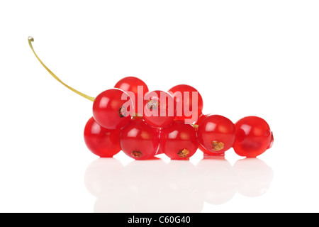 Frisch geerntete Johannisbeeren isoliert auf weißem Hintergrund Stockfoto