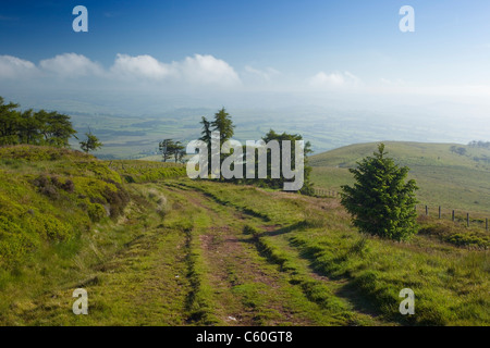 Verfolgen Sie Decsending von Fan-Frynych. Craig Cerrig-Gleisiad National Nature Reserve. Brecon Beacons.  Powys. Wales. VEREINIGTES KÖNIGREICH. Stockfoto