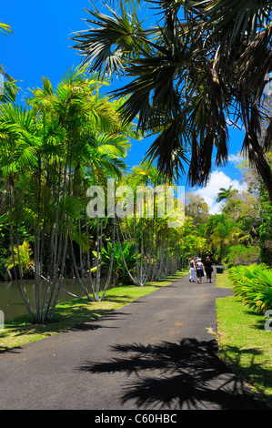 Sir Seewoosagur Ramgoolam Botanic Garden Pamplemousses, Mauritius. Stockfoto