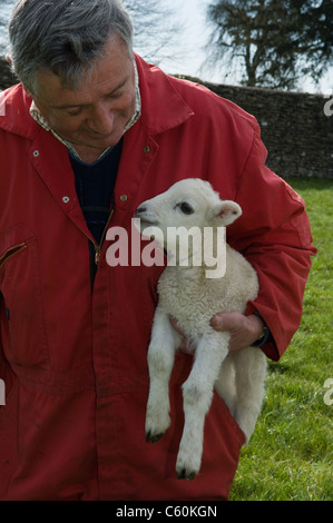 Landwirt mit Lamm im freien Stockfoto