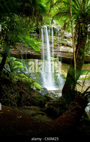 Die wunderschönen Wasserfall im Wald, Frühling, Langzeitbelichtung, fällt Russell Mount Field National Park, in Tasmanien, Australien Stockfoto