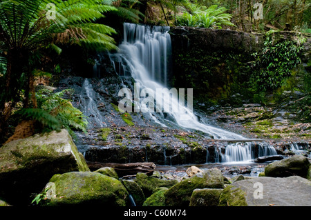 Der Wasserfall im Wald, Frühling, Langzeitbelichtung, Horseshoe Falls Mount Field National Park, in Tasmanien, Australien Stockfoto