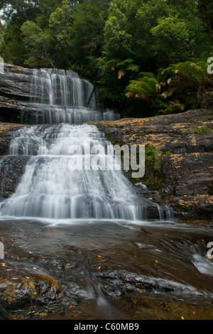 Der Wasserfall im Wald, Frühling, Langzeitbelichtung, Lady Barron Falls, Mount Field National Park, in Tasmanien Australien; Stockfoto