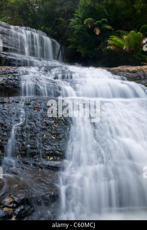 Der Wasserfall im Wald, Frühling, Langzeitbelichtung, Lady Barron Falls, Mount Field National Park, in Tasmanien Australien; Stockfoto