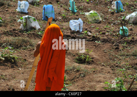 eine junge Bonze buddhistischen arbeiten in einem Gemüsegarten Schneiden von Holz in Luang Prabang Laos Asien Stockfoto