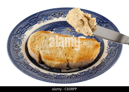 hausgemachte Dicke Hummus mit extra Knoblauch verteilt auf frisch geröstetem Weißbrot Stockfoto