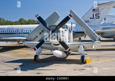 1951 EA-1F Douglas Skyraider Flugzeuge auf der Naval Air Museum in Pensacola, Florida - Heimat der Blue Angels. Stockfoto