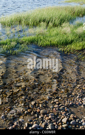 Massachusetts, Elizabeth Islands Cuttyhunk. Felsige Küste Cuttyhunk. Stockfoto