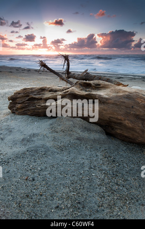 Alten Baumstamm am Strand bei Sonnenuntergang mit glühenden Himmel Stockfoto