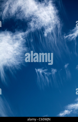 Lange nachfolgende Irrlichter hinter lückenhaft Cirruswolken vor blauem Himmel. Stockfoto