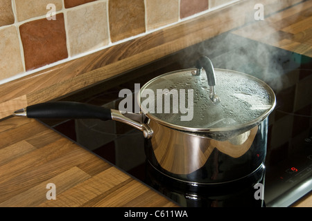 Edelstahl-Topf mit kochendem Wasser, mit Glasdeckel, auf einem Induktionskochfeld. Stockfoto