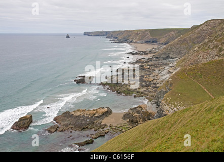 Tregardock Beach an der Atlantikküste Cornwalls, gesehen von einem Felsvorsprung über dem Crookmoyle Rock Stockfoto